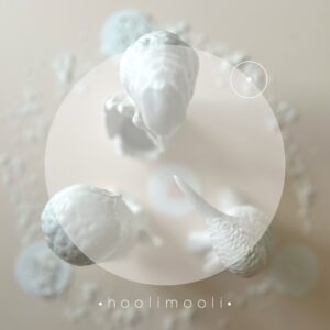 • h o o l i - c o n n e c t i o n - s e s s i o n •