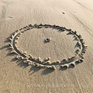 • h o o l i - b a c k - u p • samen•werking